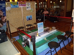 ドクターフィッシュイベント