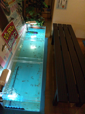 ドクターフィッシュイベント