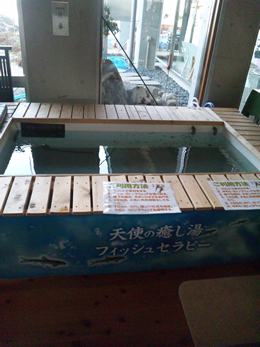 ドクターフィッシュイベント