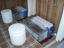 ドクターフィッシュイベント