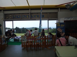 ガラルファ/ドクターフィッシュ