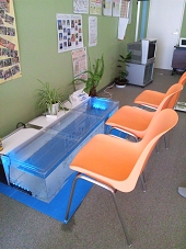 ガラルファ/ドクターフィッシュ