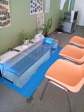 ガラルファ/ドクターフィッシュ