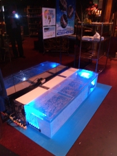 ガラルファ/ドクターフィッシュ